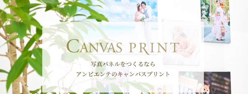 �ʐ^��G���C���e���A�Ʉ��A���r�G���e�̃L�����o�X�v�����g���T�C�g