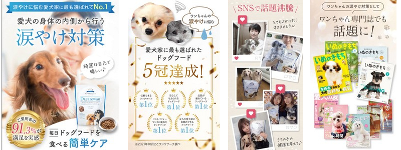 �y�����h�{�w���m�ďC�z���Y���Y���h�b�O�t�[�h�uDr.�P�A�����v���T�C�g