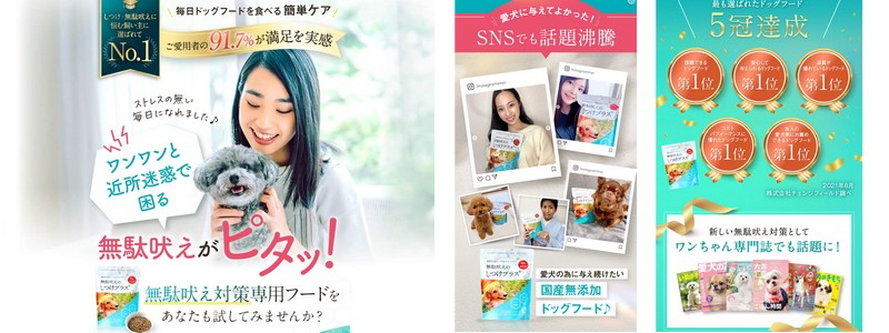 �y�����h�{�w���m�ďC�z���ʖi���̂����v���X���T�C�g