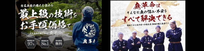 ���{�ő勉�̐A�؉����f�B�A������Ёy��v���z���T�C�g